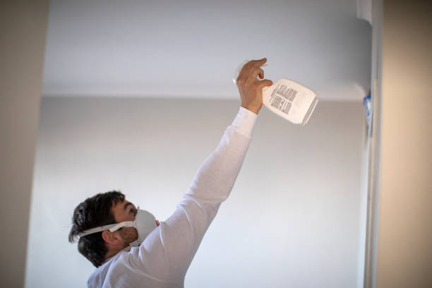 Office Mold Removal Services in Hendersonville, NC
