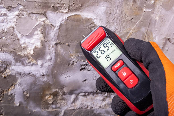 Best Mold Damage Repair  in Hendersonville, NC