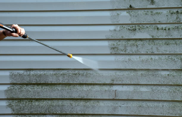 Best Fast Mold Removal  in Hendersonville, NC