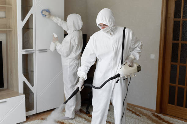 Trusted Hendersonville, NC Mold Removal Experts
