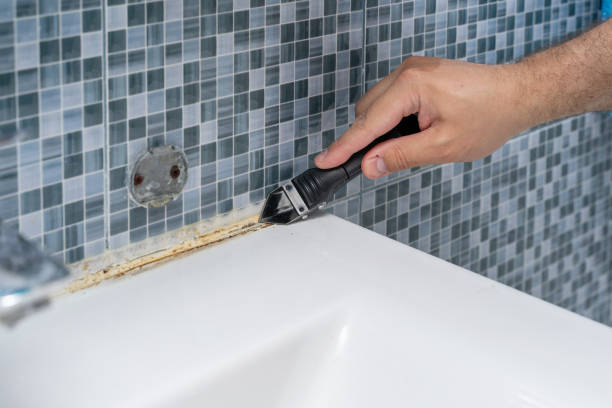 Best Office Mold Removal Services  in Hendersonville, NC