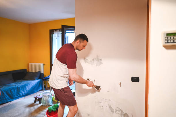 Best Mold Inspection  in Hendersonville, NC
